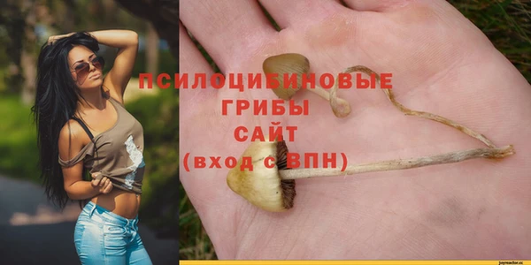 МДПВ Алзамай
