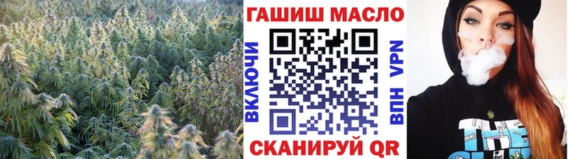 цены наркотик  Павловский Посад  ТГК гашишное масло 